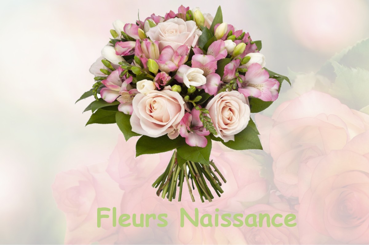 fleurs naissance AUNAY-LES-BOIS